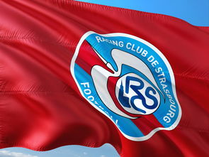 ac米兰官网-瑞士战胜乌克兰，继续保持不败